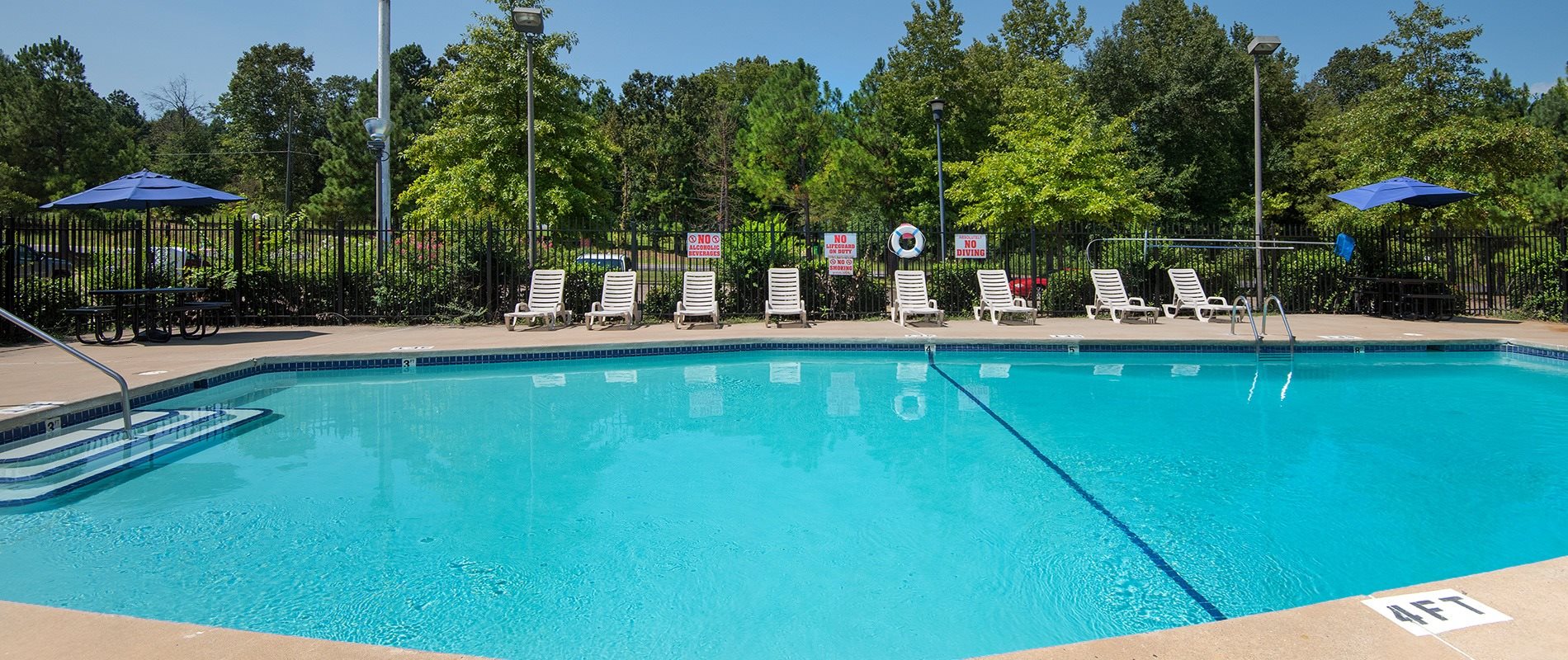 A large swimming pool surrounded by trees and lounge chairs.